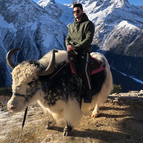 Meet your Posher, Mulham - Picture 1 of 1